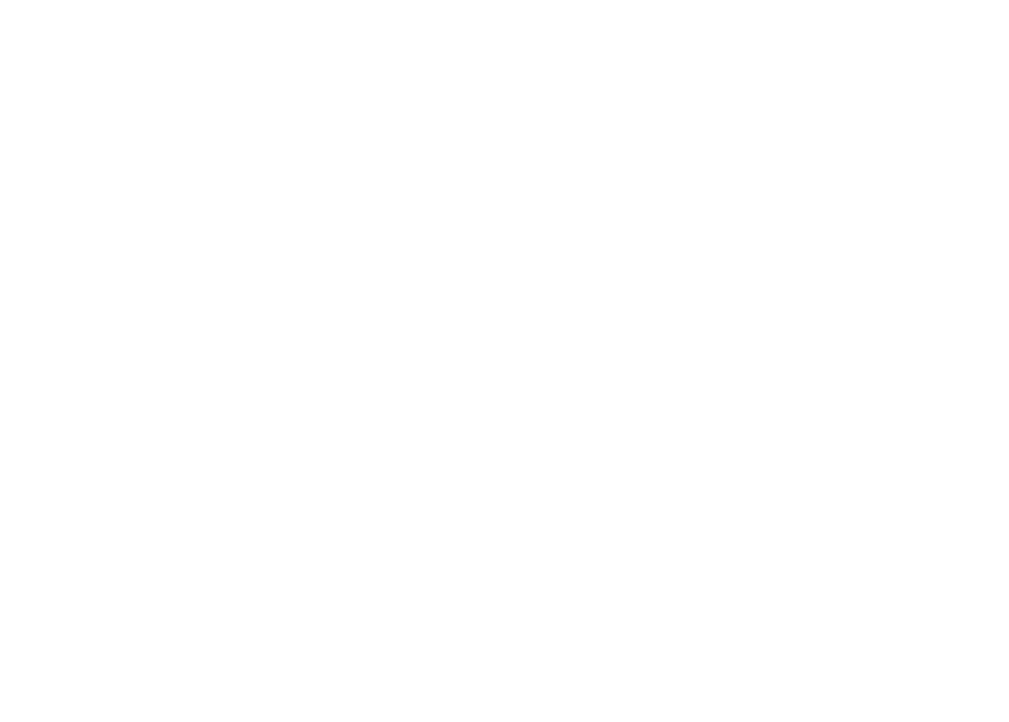 Wisebric Watermark
